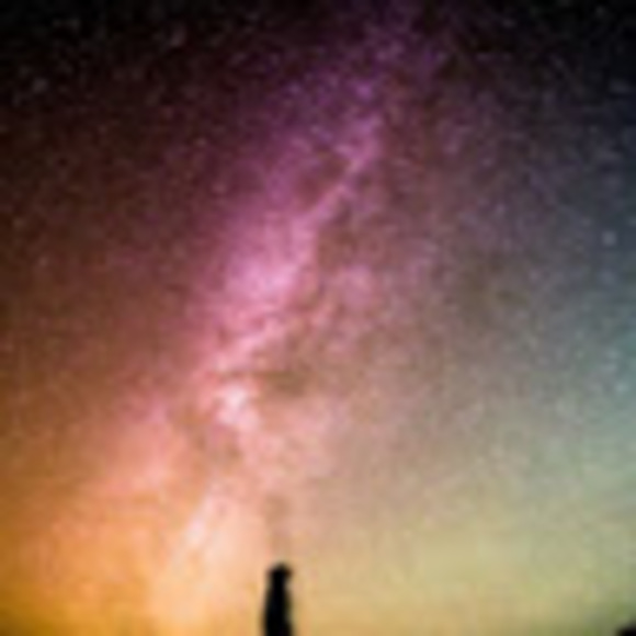 Meet your Posher, Sonia - Picture 1 of 1